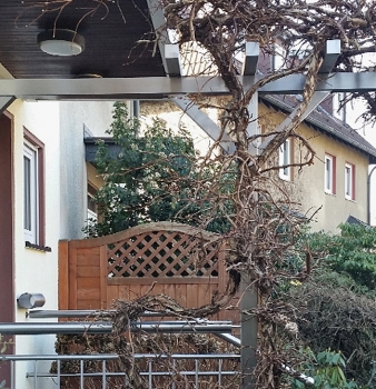 Rankgerüst aus Edelstahl