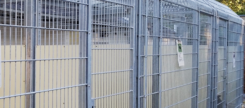 Neuer Außenbereich für Tierheim